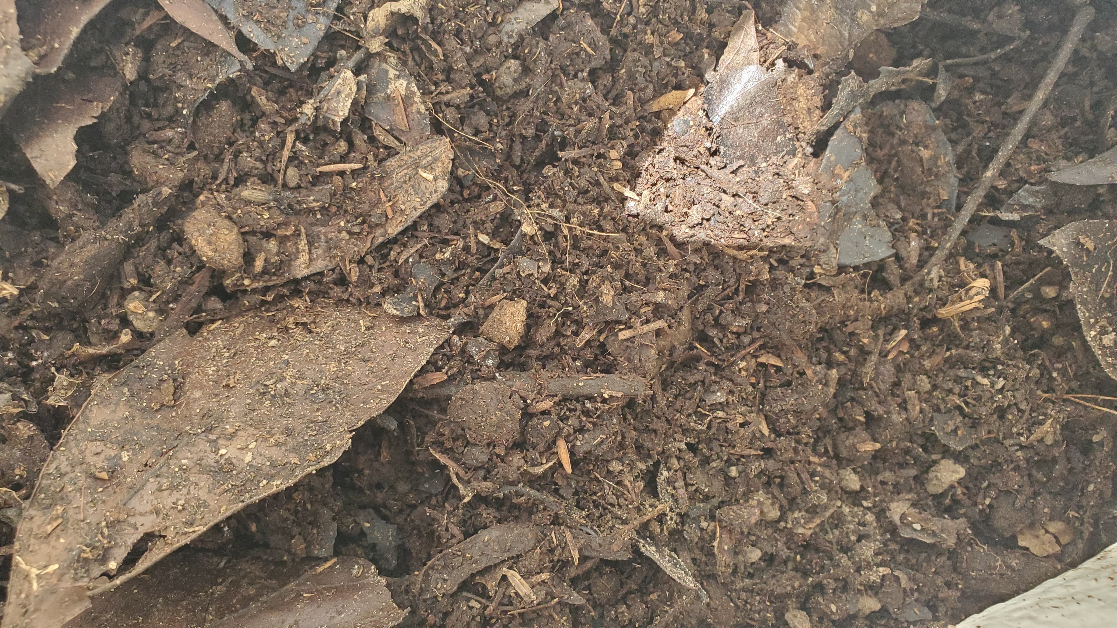 Creación de Compost en Finca Amaviora: Desafíos y Beneficios de Regenerar nuestra Tierra en Santo Tomás