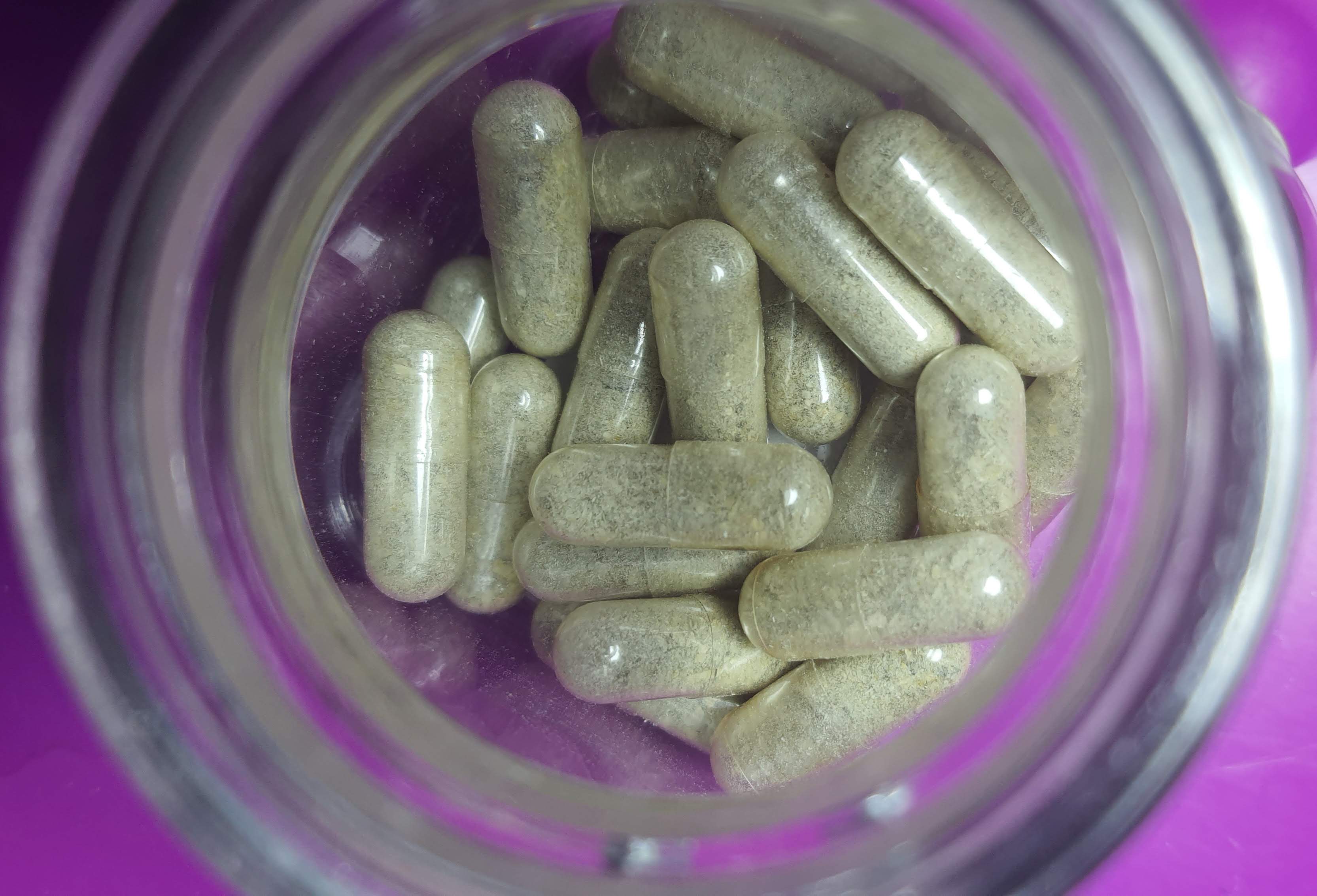 Cuatro días, una montaña rusa y un micelio que sabe adónde va