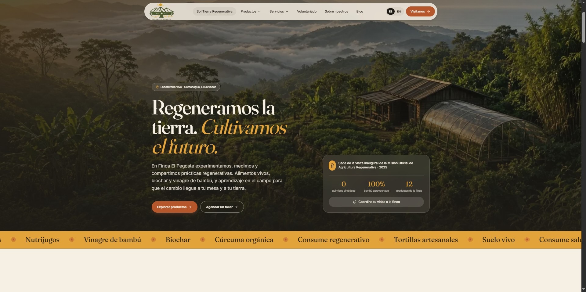 Sitio web de una página, listo en 24 horas